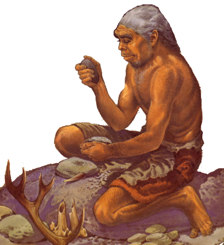 Homo Habilis