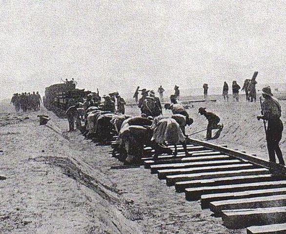 Palestine Gets in on the Action