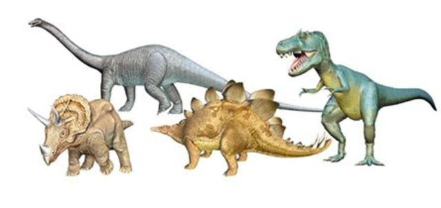 DOMINACIÓ DE LA TERRA