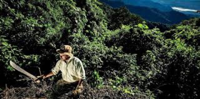 WORKING WITH MY FATHER