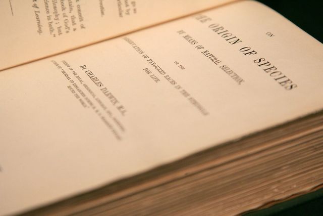 Darwin Visits Galapagos Islands