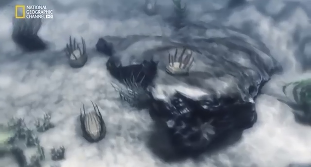 Los primeros animales del mundo