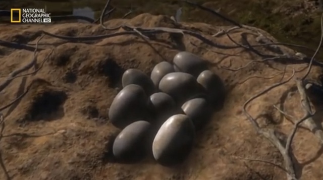 Los primeros reptiles y bitchos en la tierra