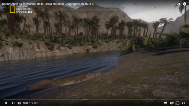 Primera vida animal terrestre