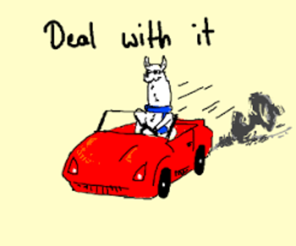 first time I ever drove a car by myself