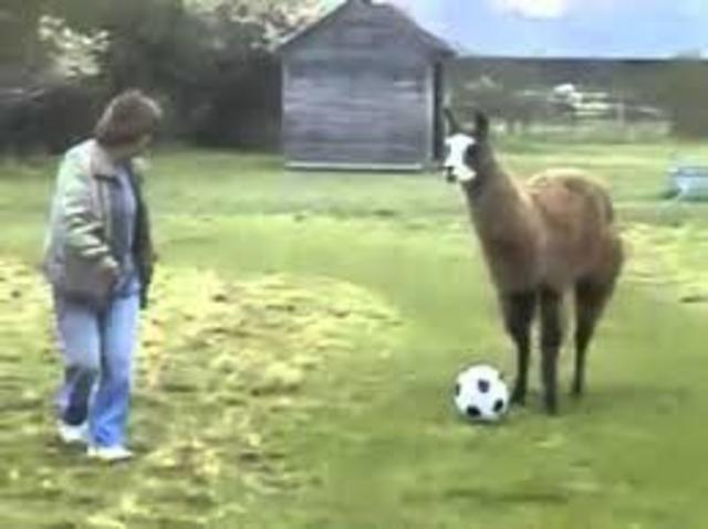 my first ever football game