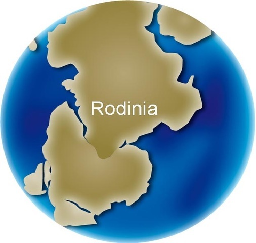 rodinia