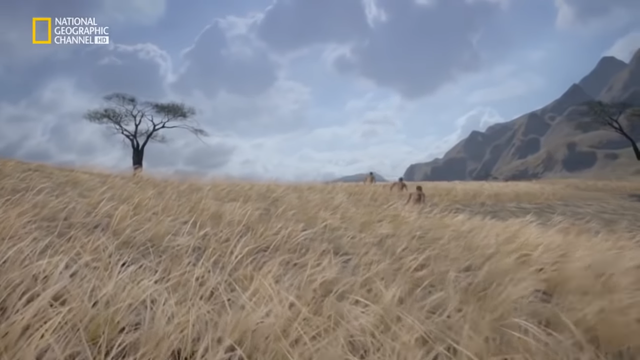 EVOLUCIÓN DEL SER HUMANO