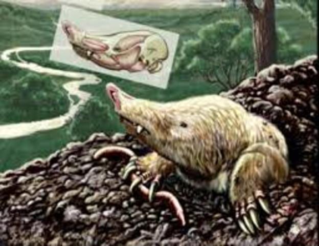 LOS MAMÍFEROS QUE SOBREVIVIERON