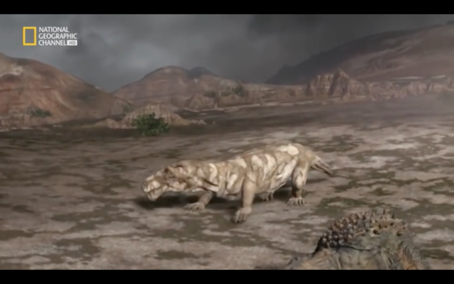 evolución de los reptiles