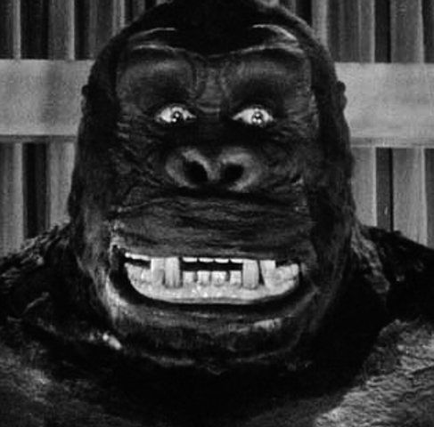 King kong
