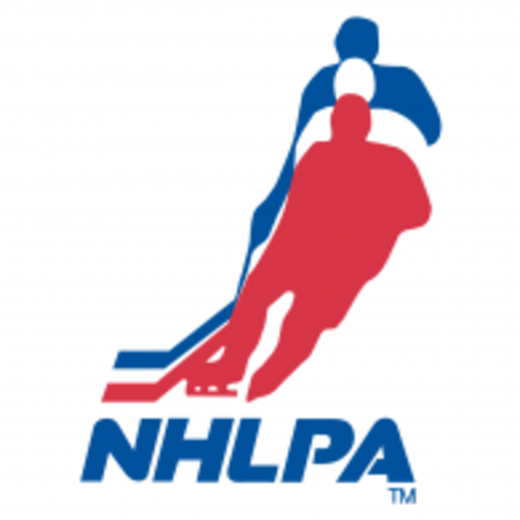 The NHLPA is Formed