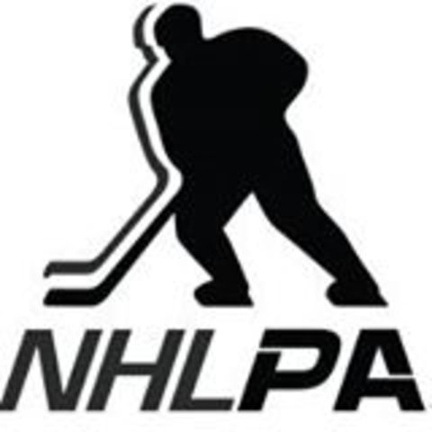 NHLPA Formed