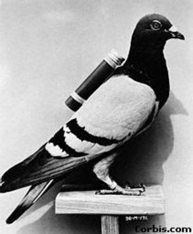 Las Palomas Mensajeras