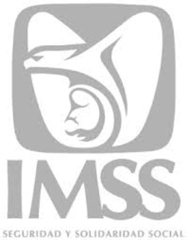 Creacion de IMSS