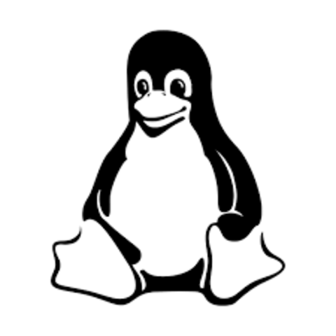 Surge Linux, creado por el estudiante Linus Torvalds
