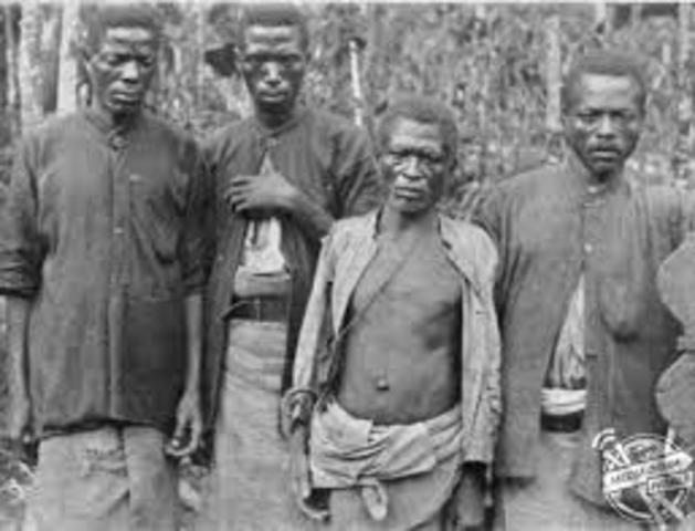 13th Amendment is Ratified