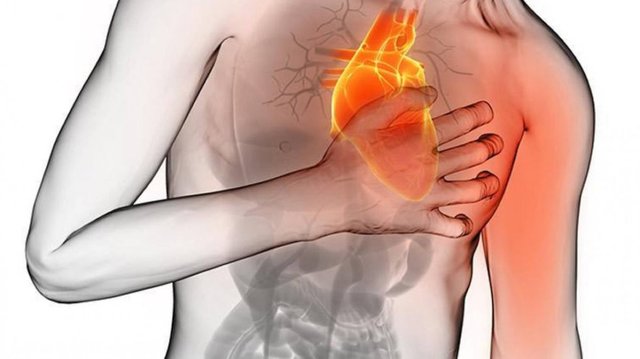 Causa de muerte de romina yan.