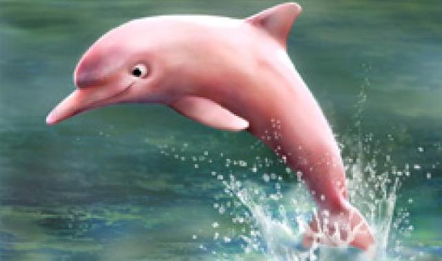 Delfin Rosado