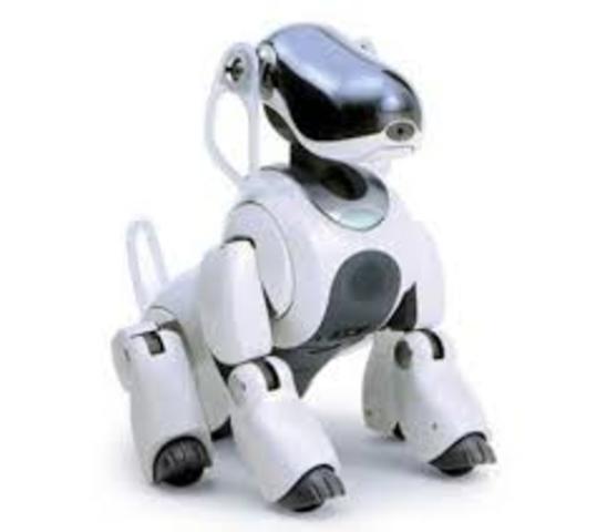 Aibo