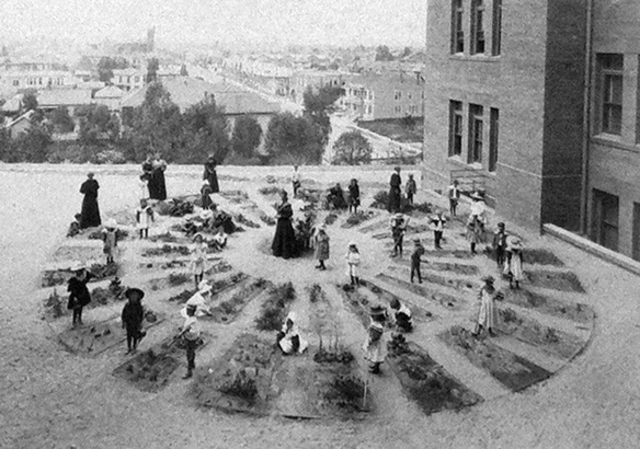 Froebel's Kindergarten and Object Learning