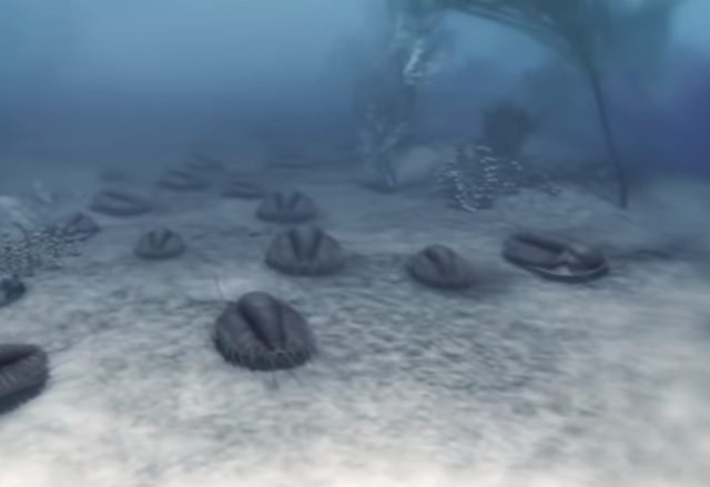 Explosión Cambriana