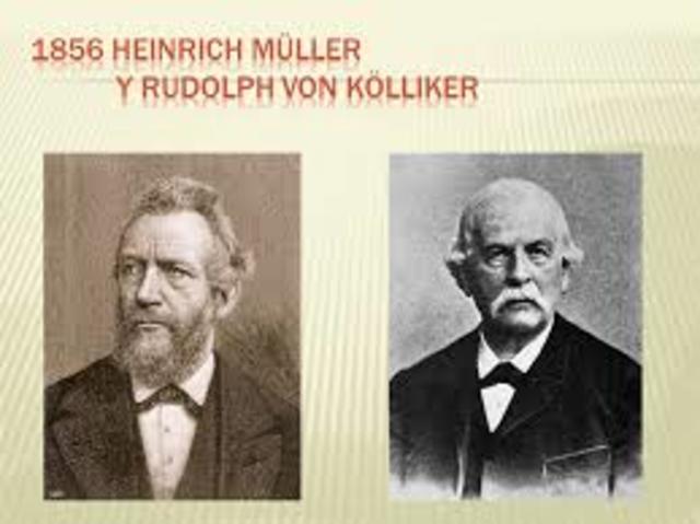 Registro del potencial de acción