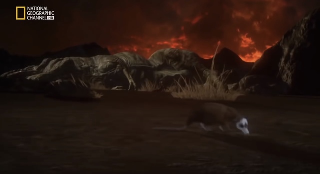 Los mamíferos a cargo