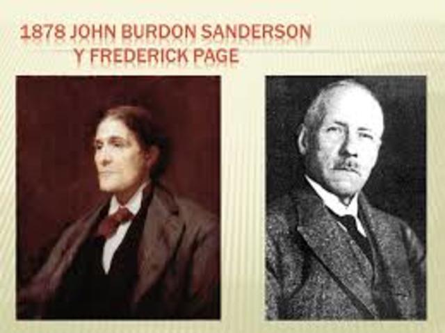 Registro de la corriente eléctrica del corazón