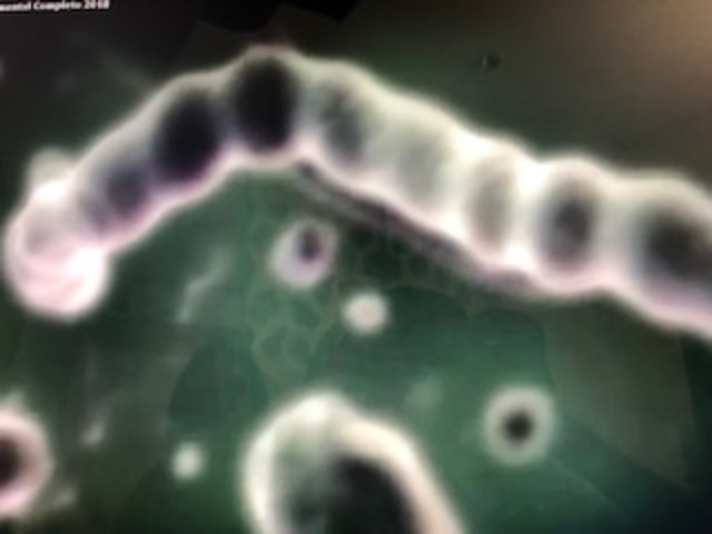 GENERACIÓN DE LA VIDA MICROSCOPICA