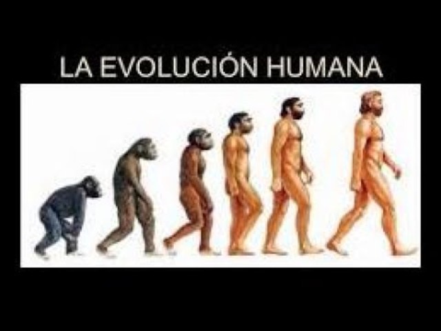 Empieza la vida humana