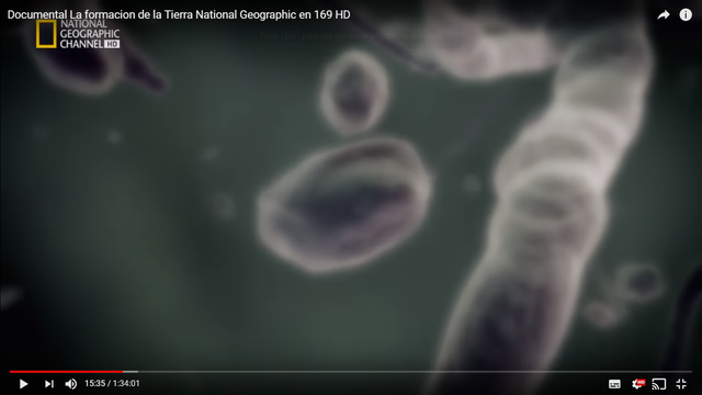 Primera forma de vida en la tierra