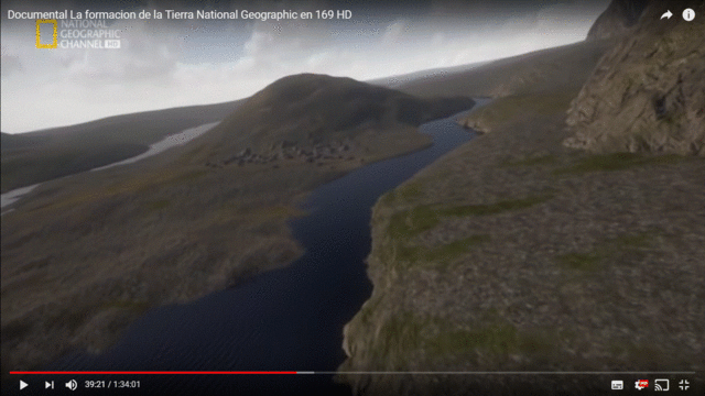 Primera vida Terrestre