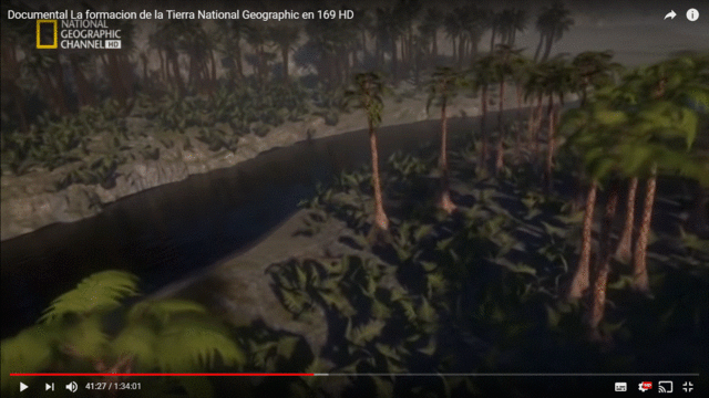 Primer animal terrestre