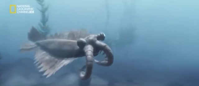 Hace 540 millones de años,