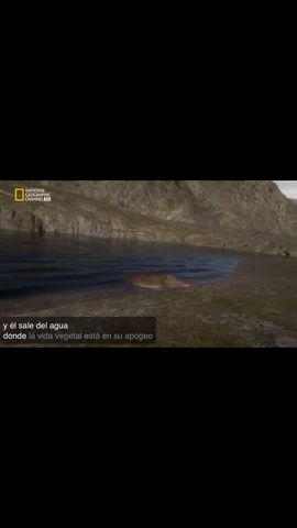 Hace  375 Millones de Años