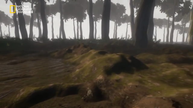 Los animales terrestres