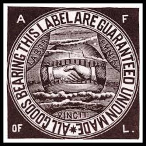 Labor Unions(Knights of Labor, American Federation of Labor, Industrial Workers of the world)