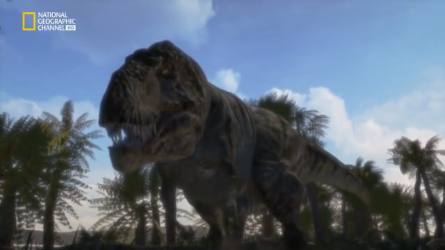 Los dinosaurios que conocemos