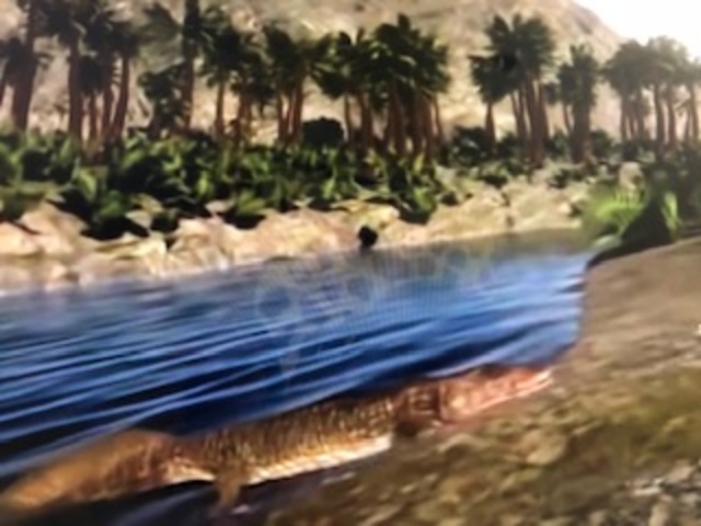 LA EVOLUCIÓN DE LOS ANIMALES