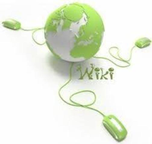 edición de la wiki según el modelo escogido