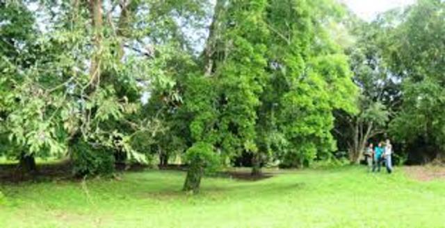 Historia de Lancetilla