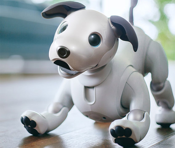 AIBO