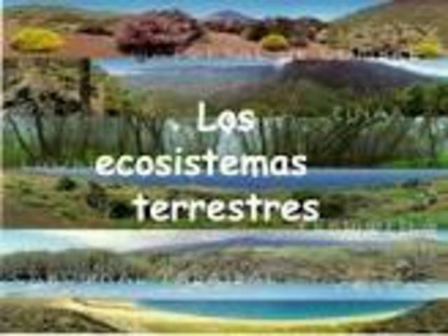 Ecosistema terrestre