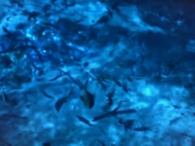 EL NACIMIENTO DEL PETROLIO