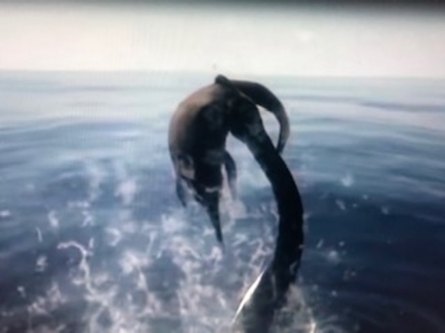 LA EVOLUCIÓN DE LOS DINOSAURIOS