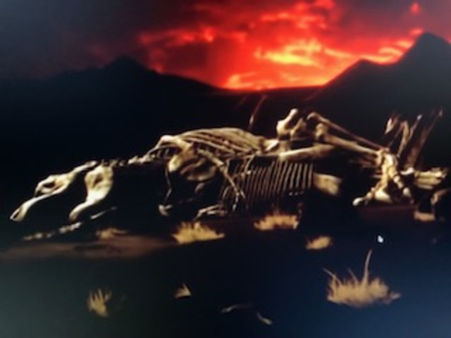 EXTINCIÓN DE LOS DINOSAURIOS