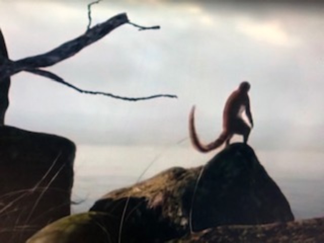 EL COMIENZO DE NUESTRA HISTORIA