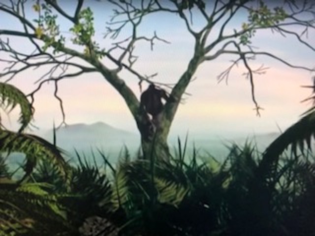 LA APARICIÓN DEL SIMIO