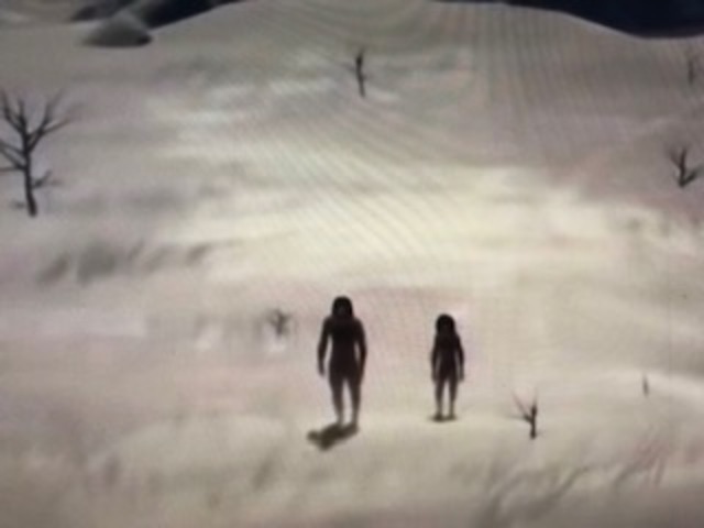 EVOLUCION DEL HOMBRE